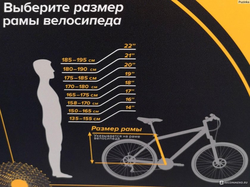 Размер рамы шоссейного велосипеда по росту