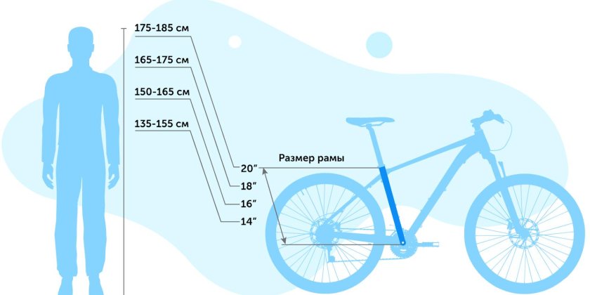 Размер рамы Hogger Olympico 29