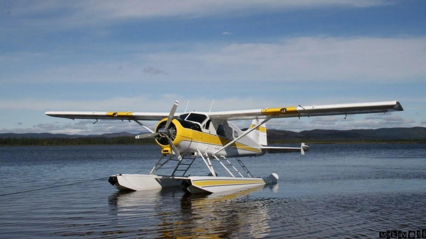 De Havilland Canada DHC-2 beaver