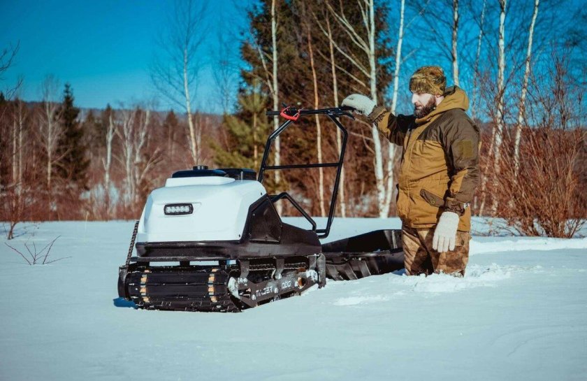 Мотособака Тингер дог