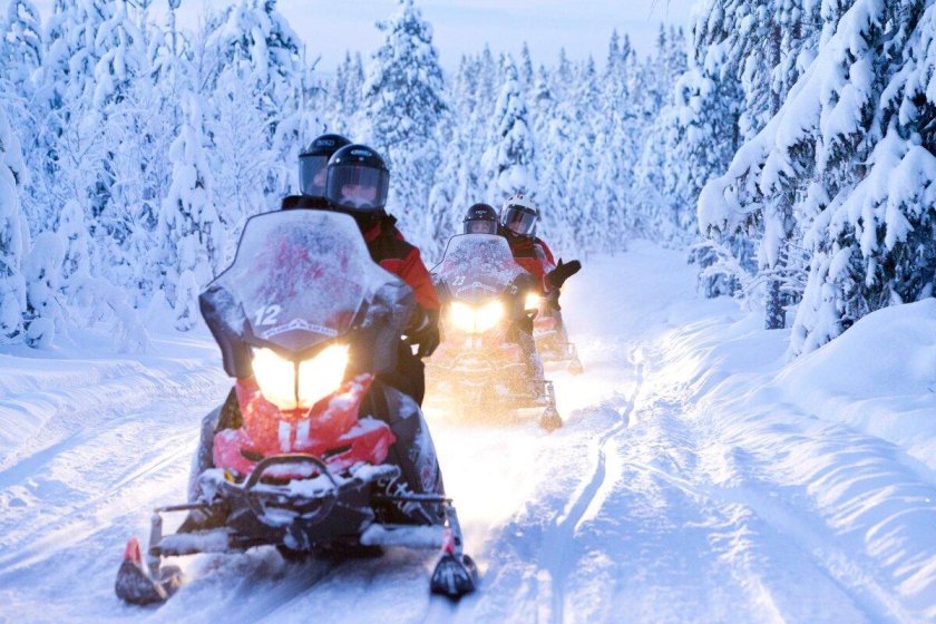 Снегоходное сафари