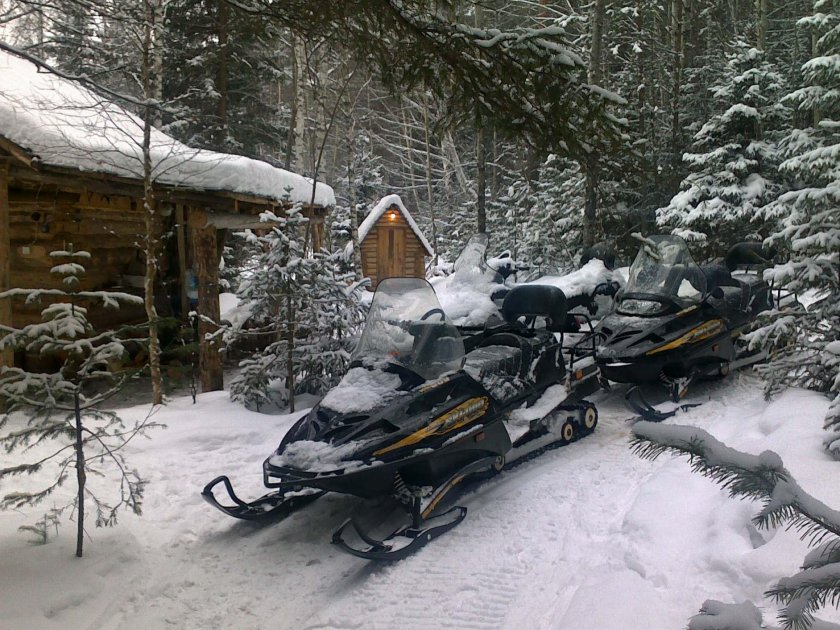 Снегоход Буран в лесу