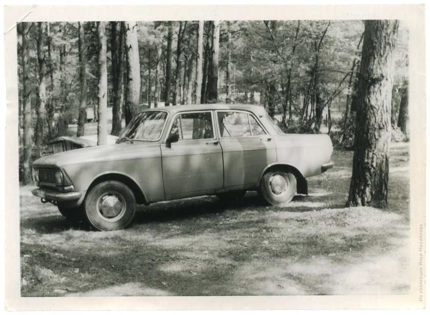 Москвич в лесу