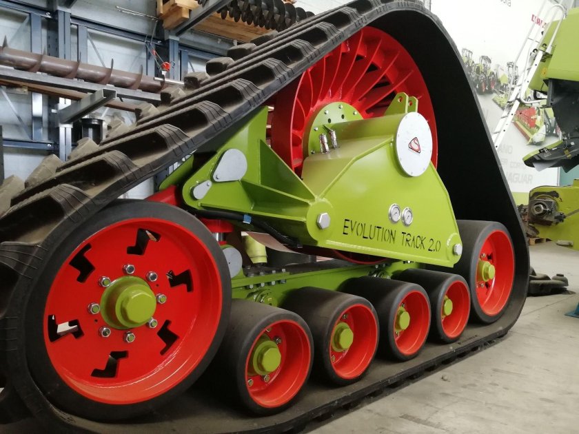 Sabatino гусеницы