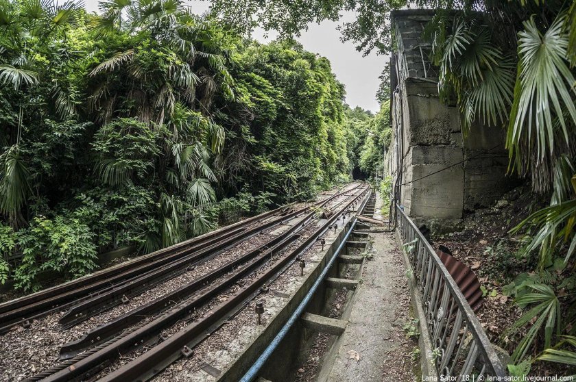 Санаторий Орджоникидзе Сочи фуникулер