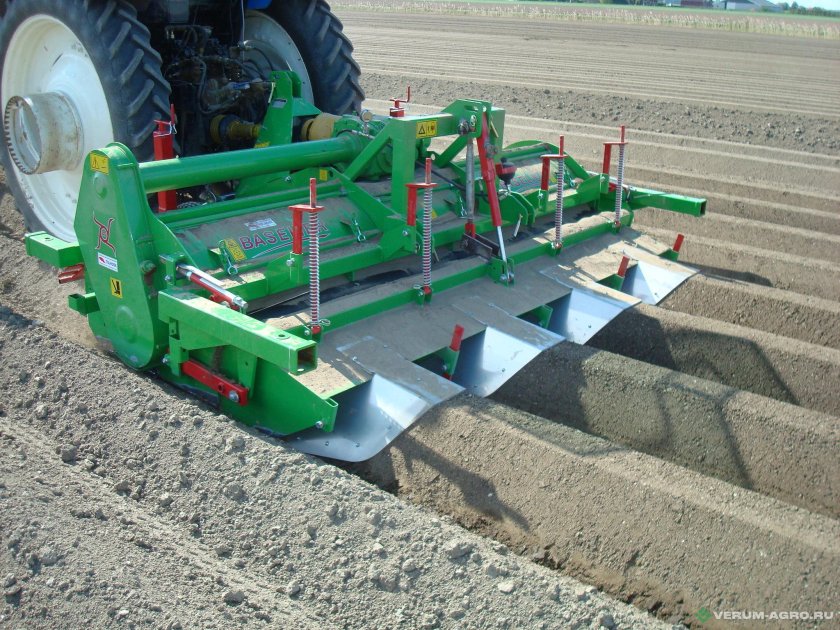 Базильер гребнеобразователь