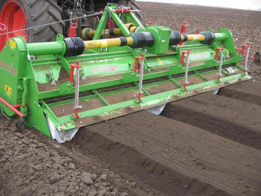 Базильер гребнеобразователь