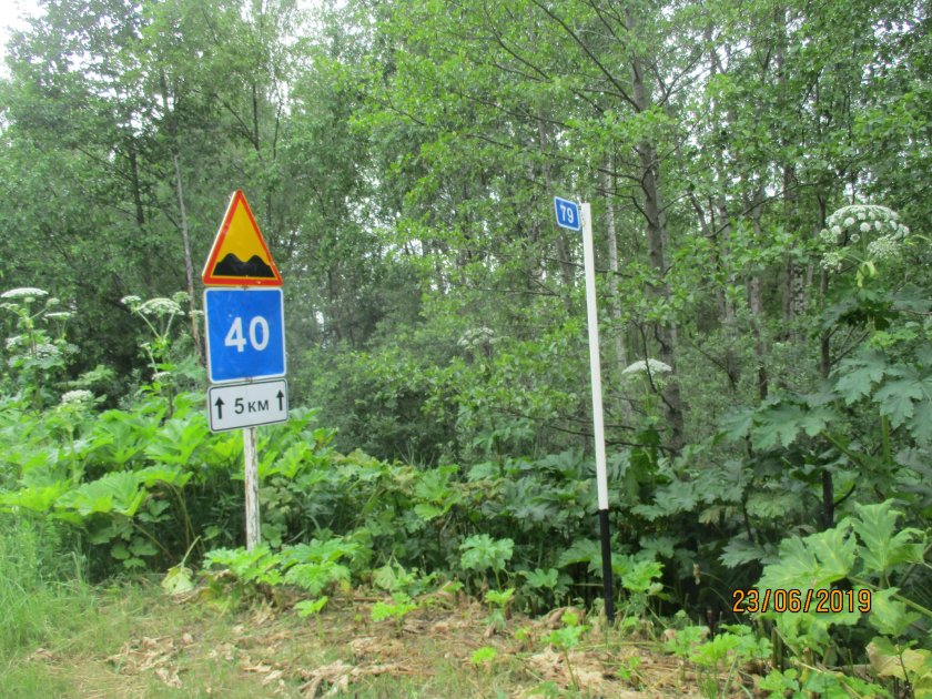 Дорожные знаки километровые