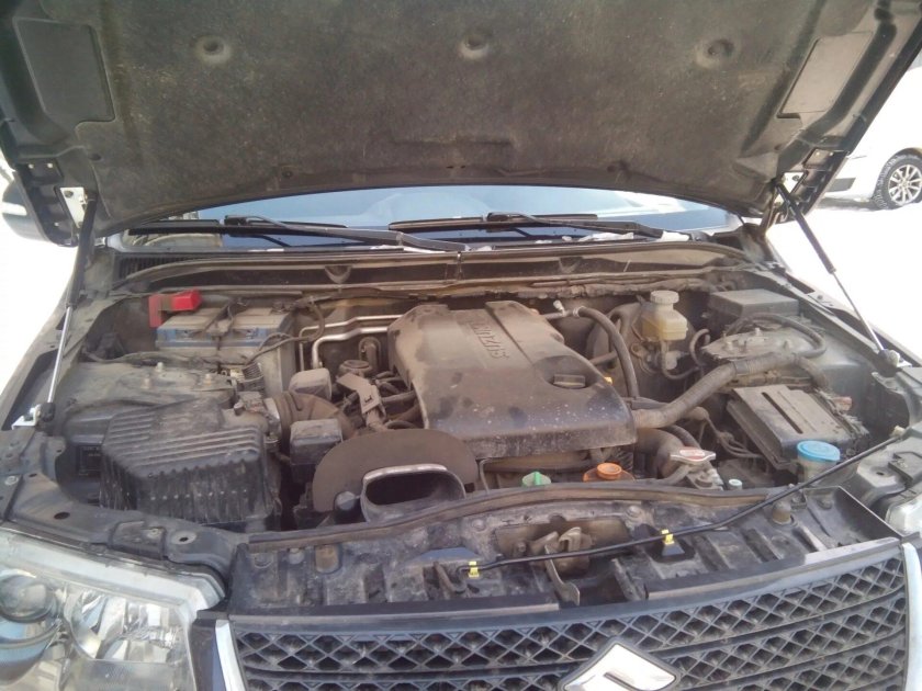 Газовые упоры на Сузуки Гранд Витара