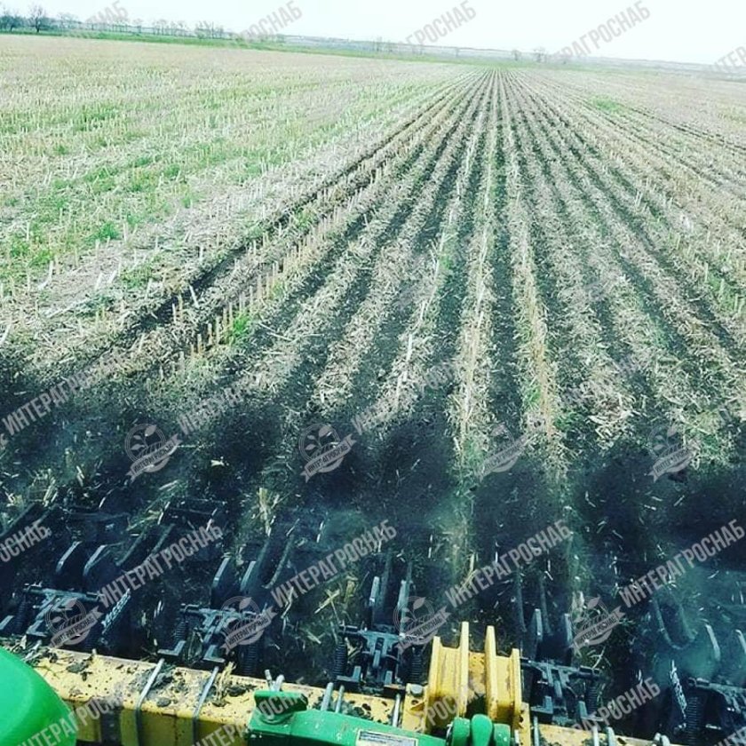 Технология стрип Тилл