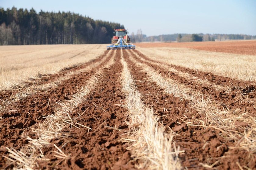 Технология стрип Тилл