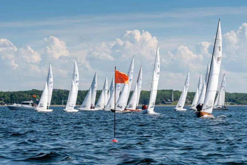 Дракон регата