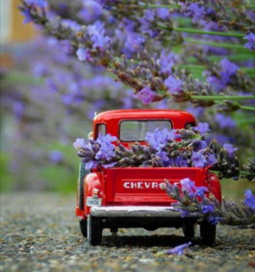 Машина усыпанная цветами