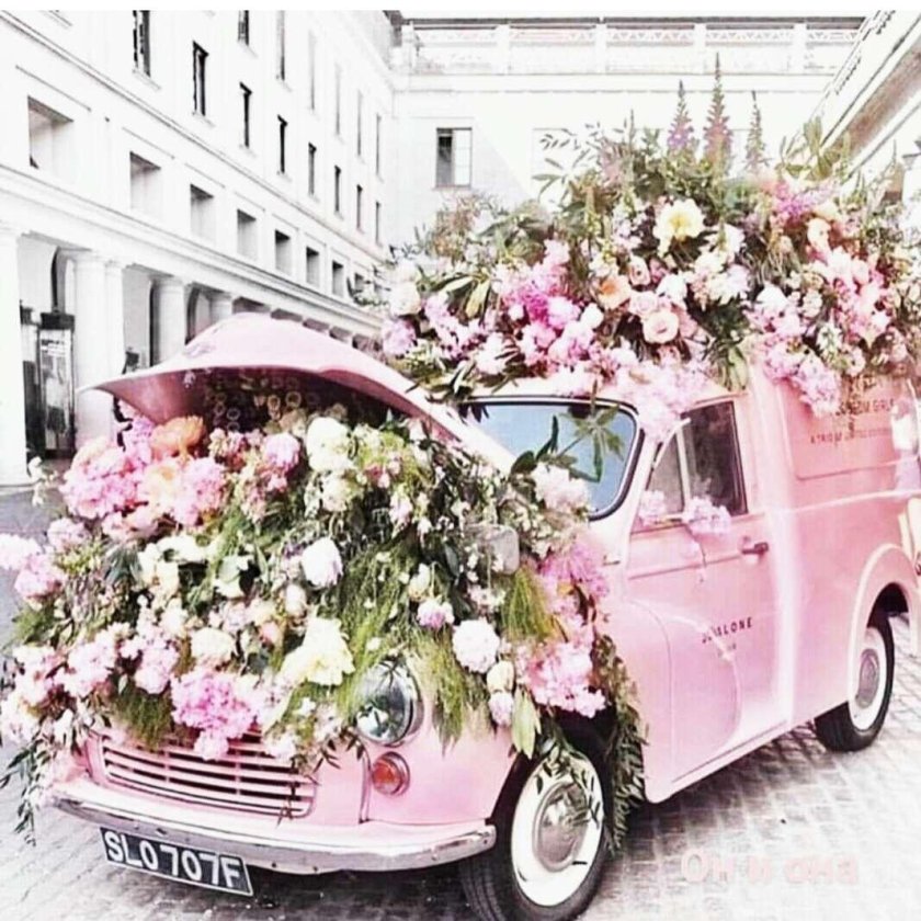 Цветы в автомобиле