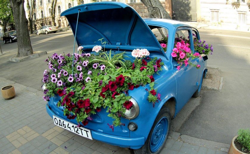 Запорожец клумба