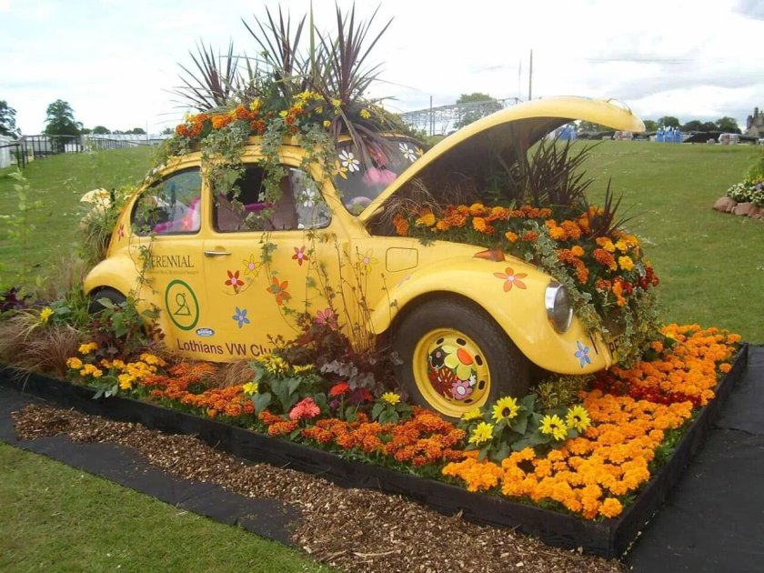 Машина клумба