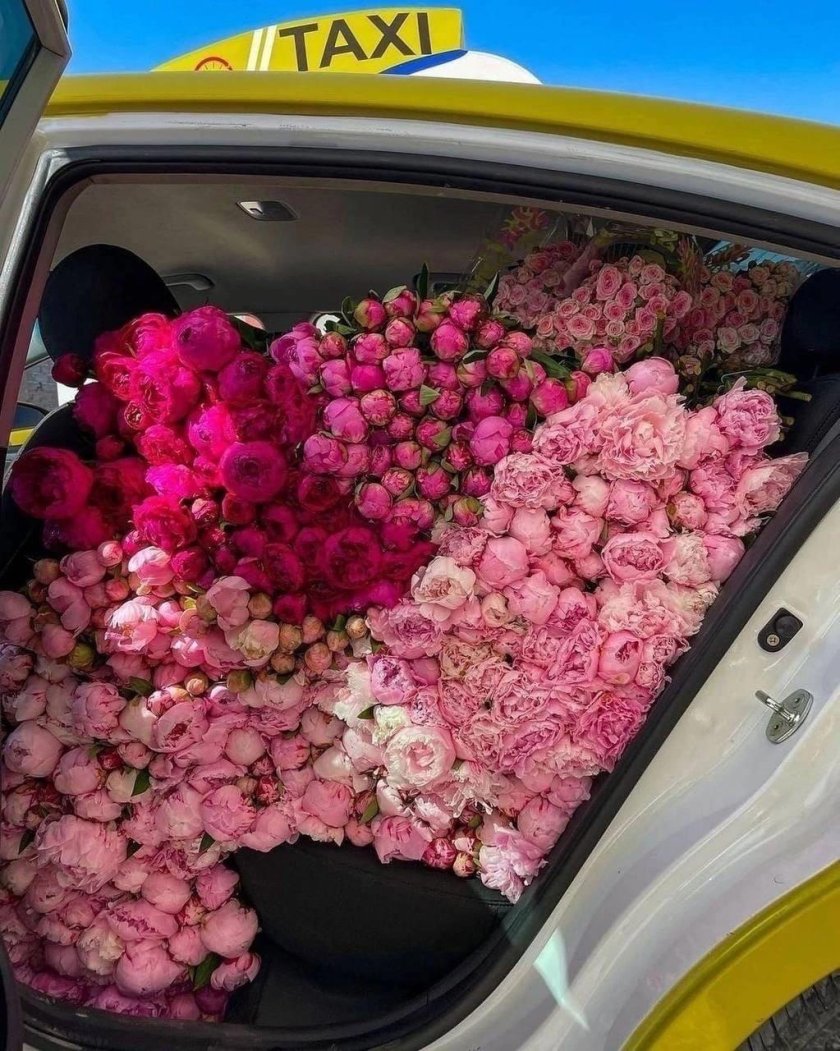 Пионы в машине