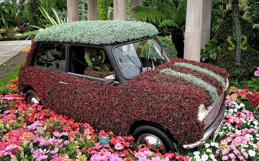 Chelsea Flower show 2022