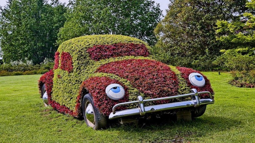 Машина клумба