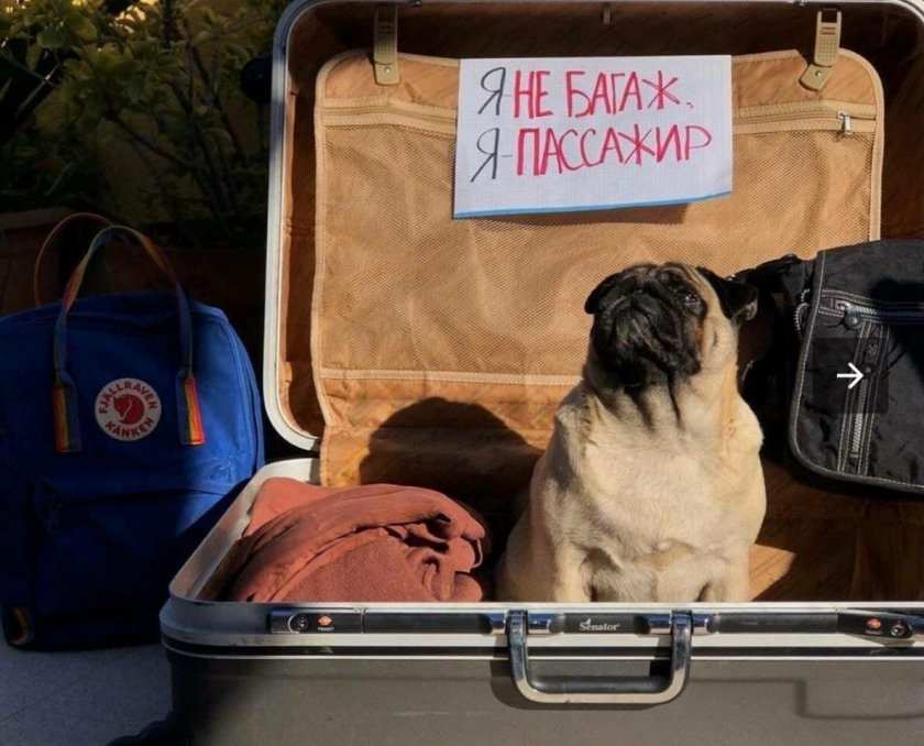 Я не багаж пассажир