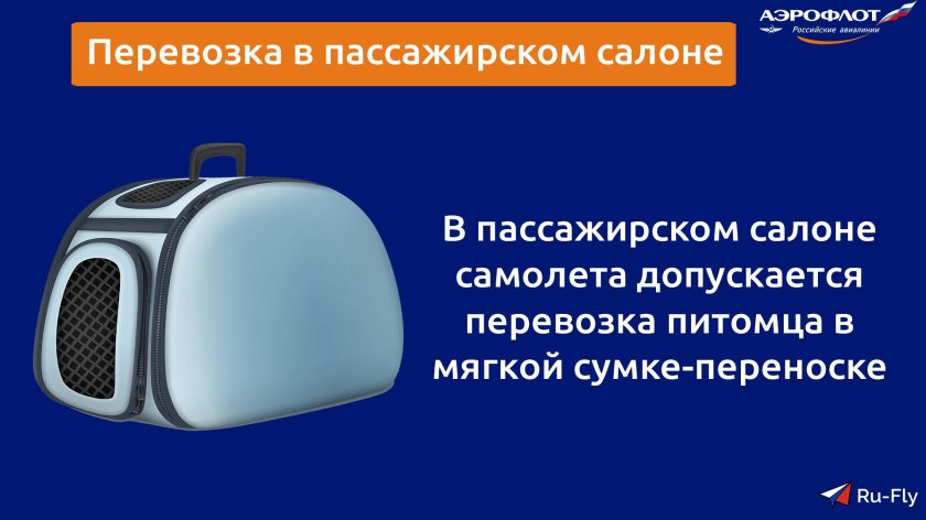 Переноска для животных в самолете