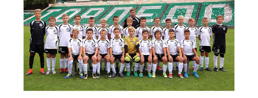 Торпедо (футбольный клуб, Владимир)