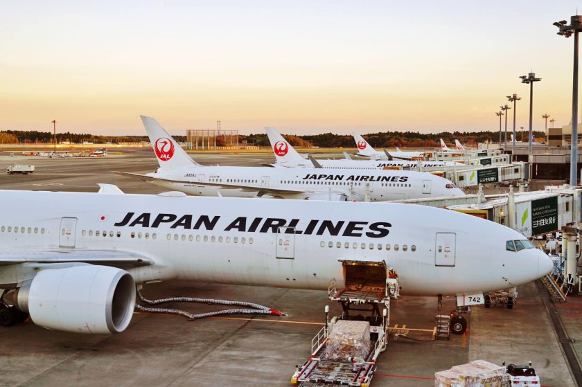 Japan airlines в шереметьево