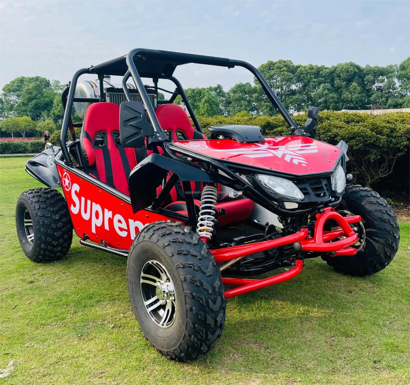 Прокат багги