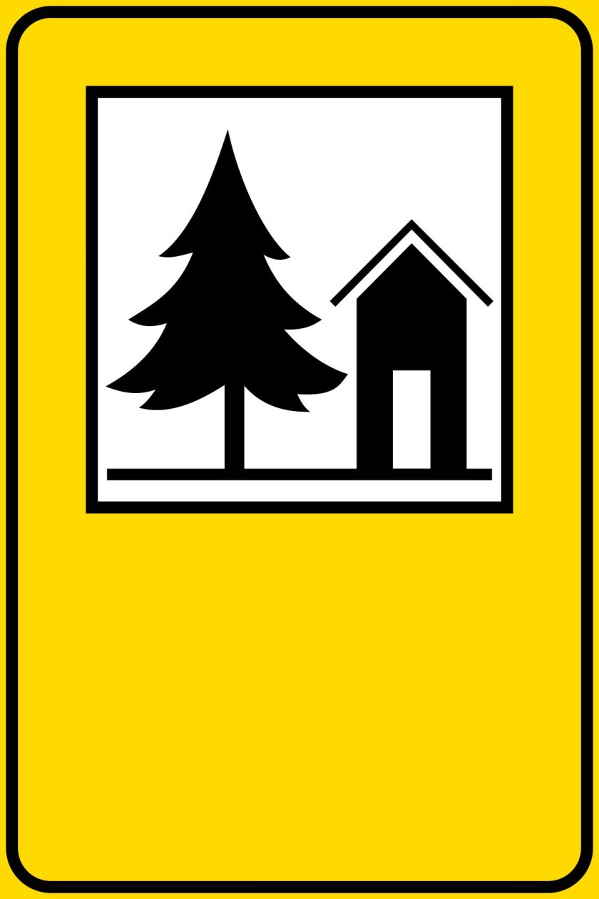 Сосна значок