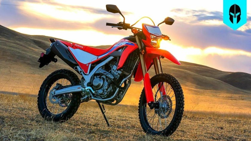 Honda crf300l
