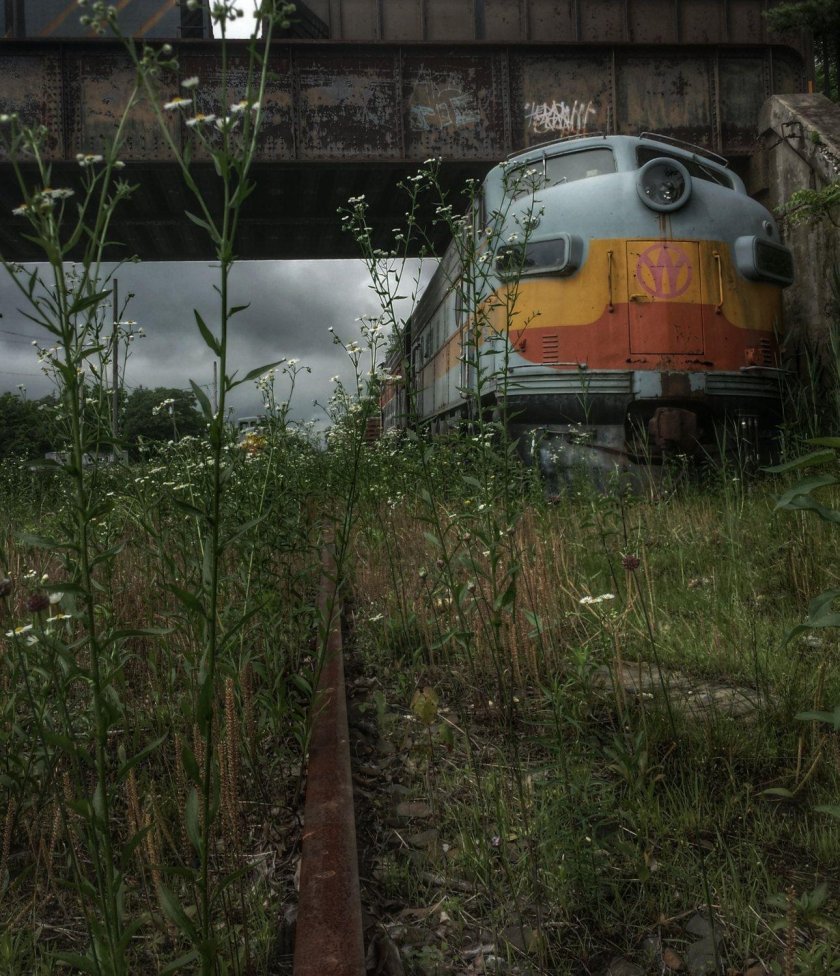 Abandoned Trainы