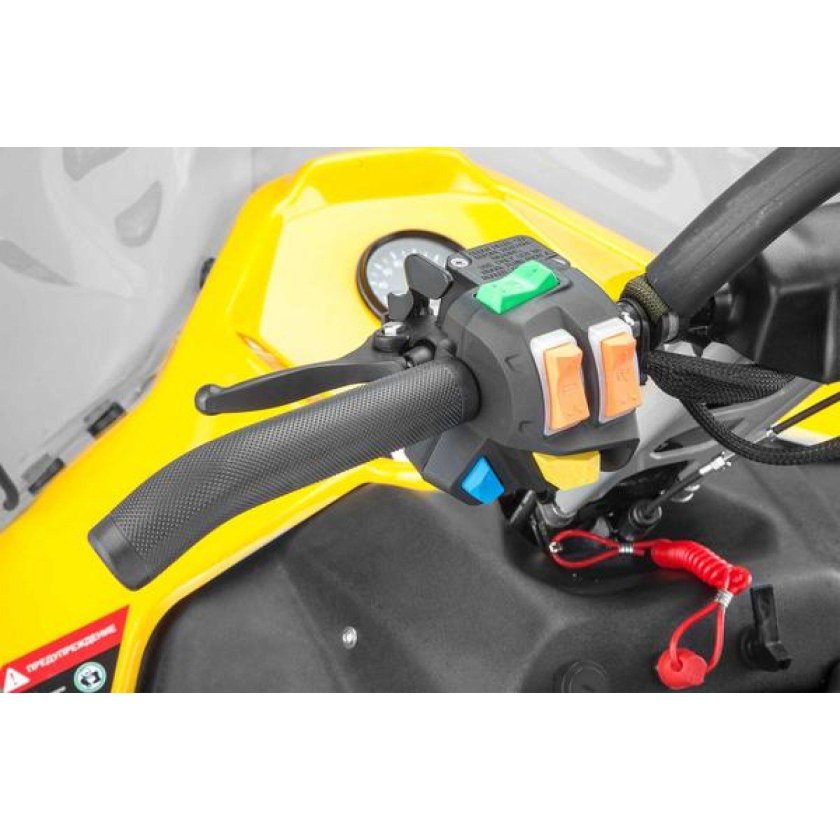 Снегоход стелс Ставр