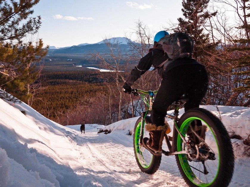 Велосипед зимой