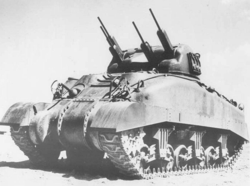 Шерман скинк