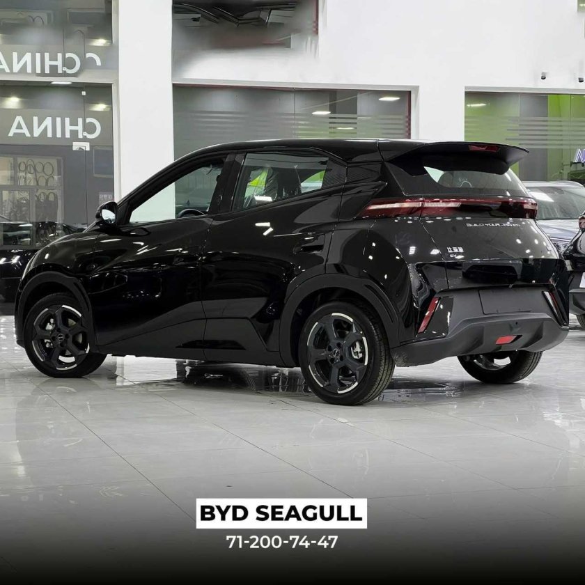 BYD Seagull 2023 Tuning