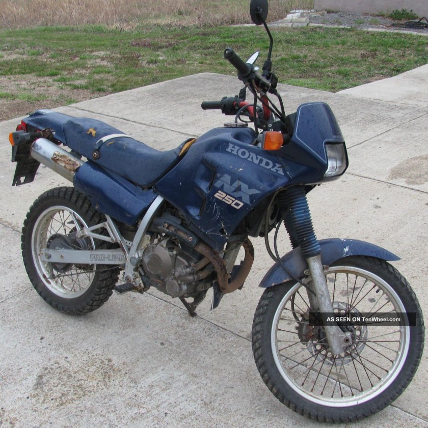 Honda nx250