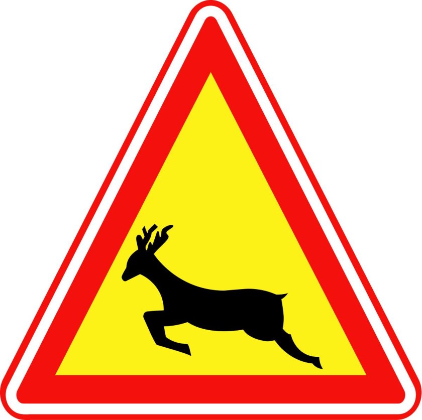 Предупреждающие знаки Дикие животные
