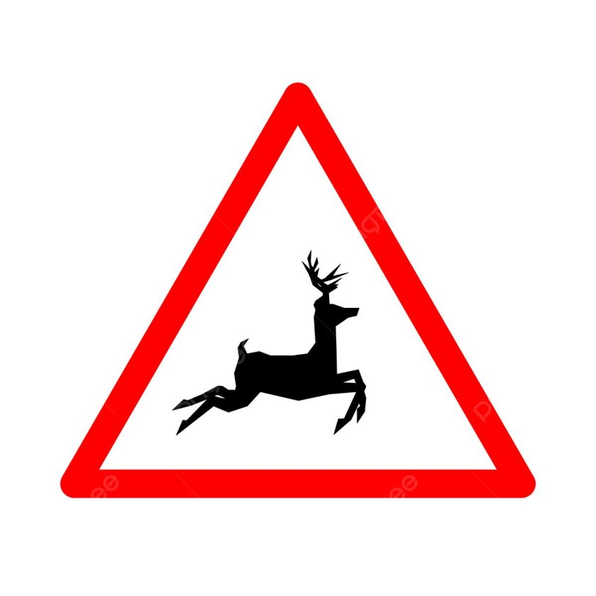 Предупреждающие знаки Дикие животные