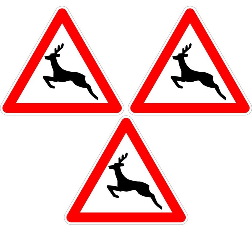 Знак Дикие животные