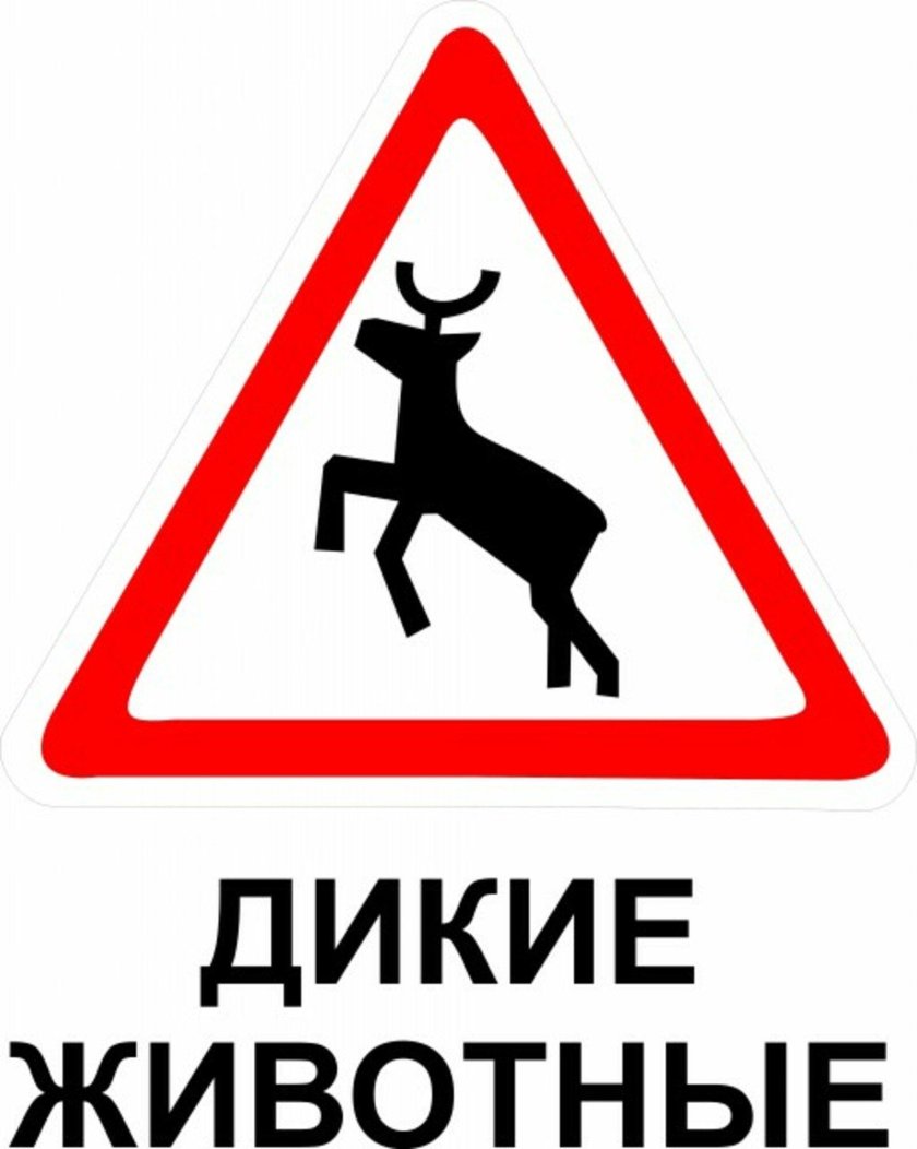 Дорожные знаки дикие животные