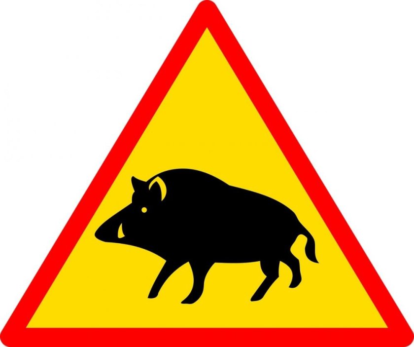 Знак 1.27. Дикие животные