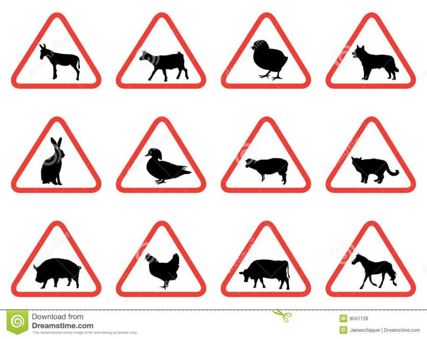 Знак осторожно Дикие звери