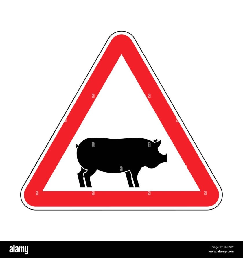 Знак свиньи