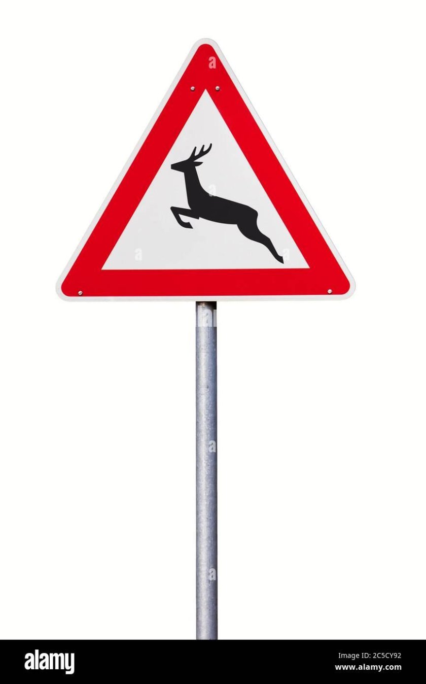 Дорожный знак олень