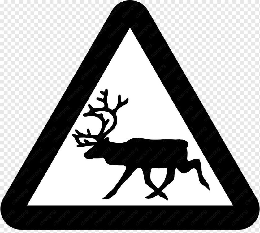 Знак осторожно олени