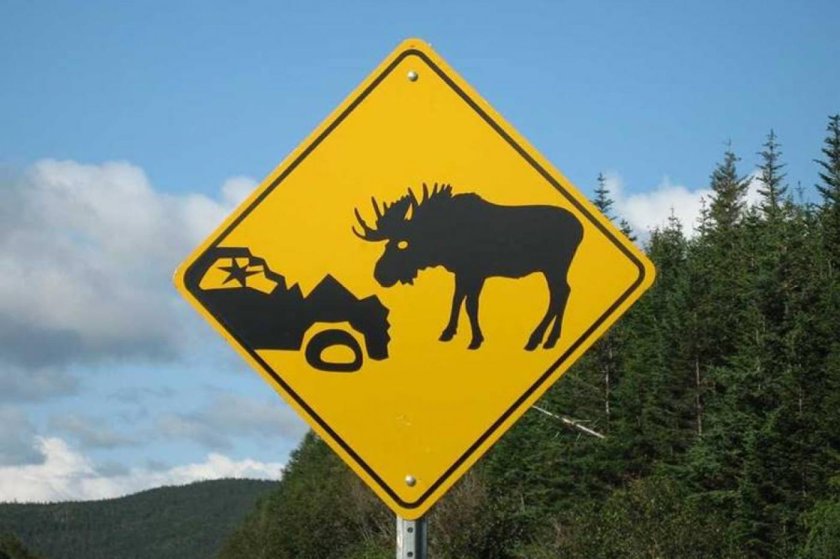 Знак Лось на дороге
