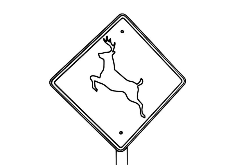 Дорожные знаки раскраска