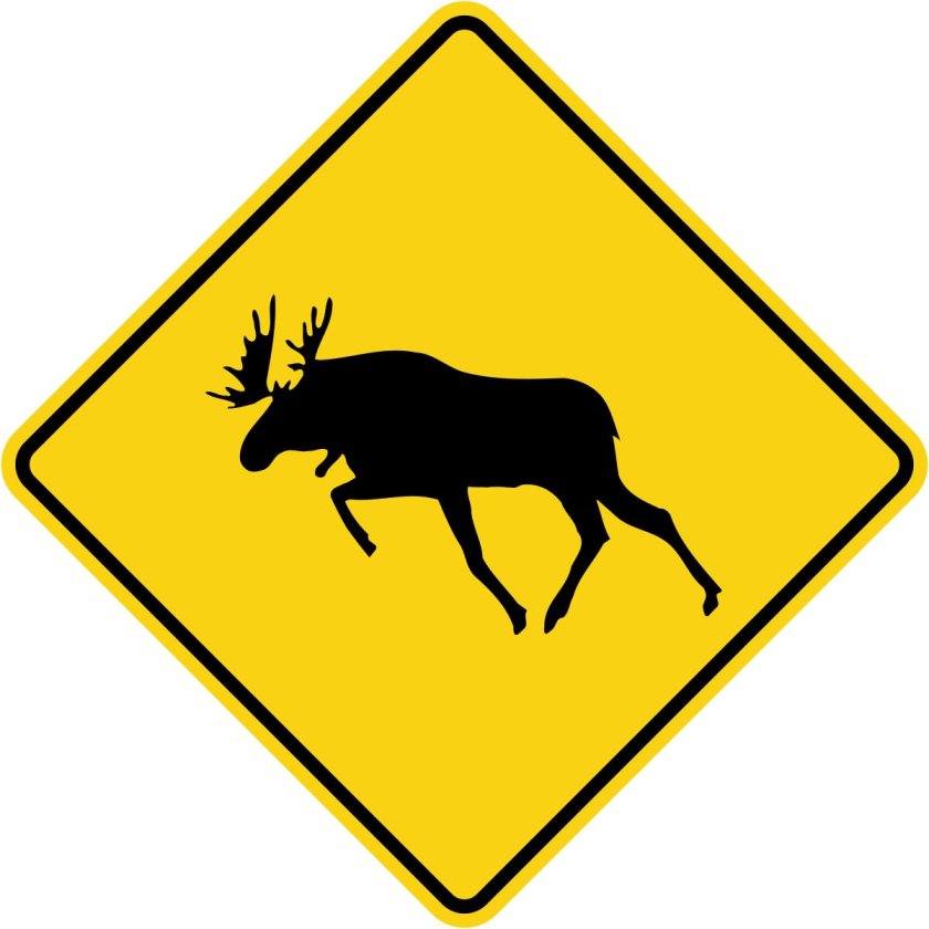 Знак осторожно лоси
