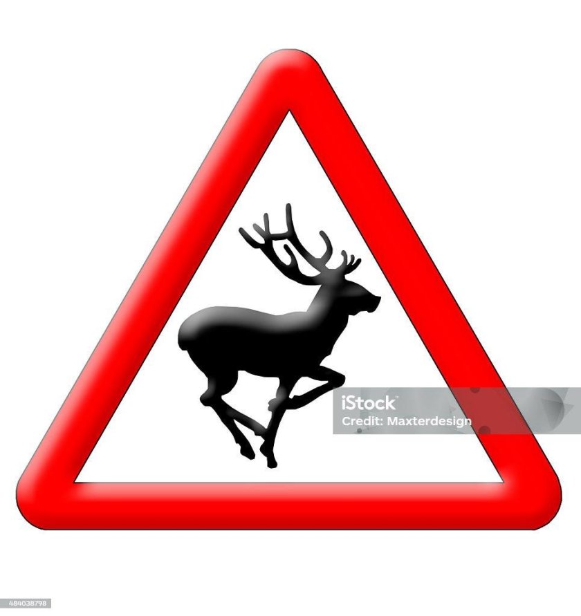 Знак олени на дороге
