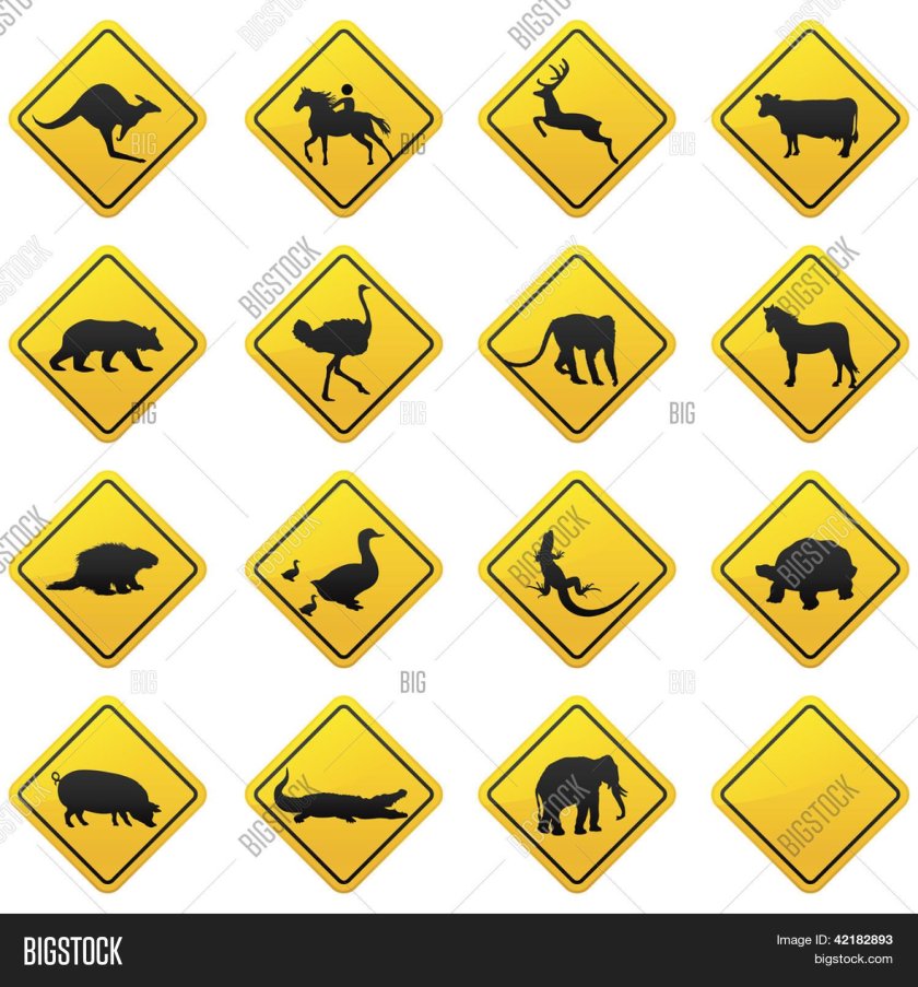 Дорожный знак животные
